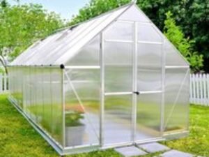8' x 20' Palram Canopia Essence Large Walk In Aluminium Framed Greenhouse (2.44m x 6.07m)