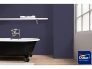 Dulux Colour Tester Amethyst Falls 1, 30ML