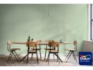 Dulux Colour Tester Green Parrot 6, 30ML