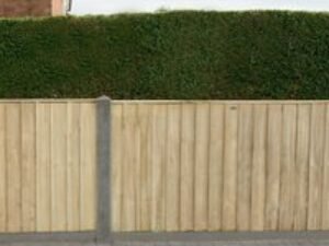 Forest 6' x 3' Pressure Treated Vertical Closeboard Fence Panel (1.83m x 0.92m)