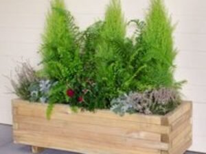 Forest Agen Wooden Garden Planter 3'x1' (0.9x0.3m)