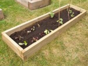 Forest Caledonian Long Raised Bed 1'6 x 6' (0.45m x 1.8m)