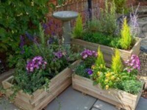 Forest Durham Rectangular Wooden Garden Planter 3'x1'9 (0.9x0.5m) - Set of 3
