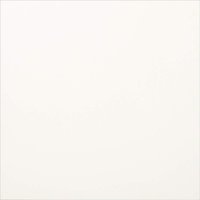 Johnson Tiles Parade White Polished Porcelain Wall & Floor Tile DA6060PAR01PB04