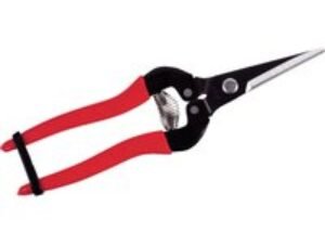 ARS 300L Pointed Fruit Pruner 190mm