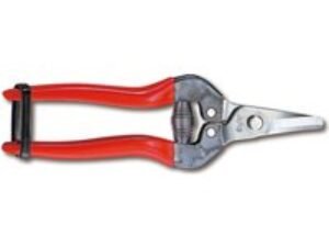 ARS 310DX Fruit Pruner Stainless Steel Blade 170mm