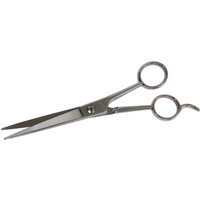 CK Hairdressers Scissors