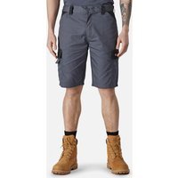 Dickies Everyday Shorts Grey / Black 38