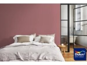 Dulux Colour Tester Rocksalt Rose, 30ML