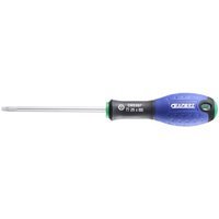 Expert by Facom Security Torx Screwdriver T30 125mm