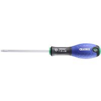 Expert by Facom Torx Screwdriver T25 100mm