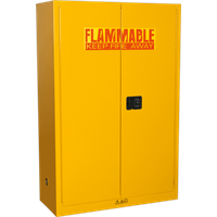 Sealey Flammables Storage Cabinet 1095mm 460mm 1655mm