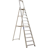 Sealey Industrial Aluminium Step Ladder 12