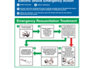 Sealey Rigid Plastic Electric Shock Emergency Action Sign 450mm 600mm Standard