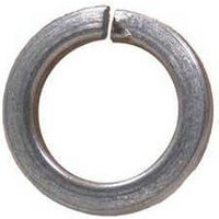 Sirius A2 304 Stainless Steel Spring Washers M8